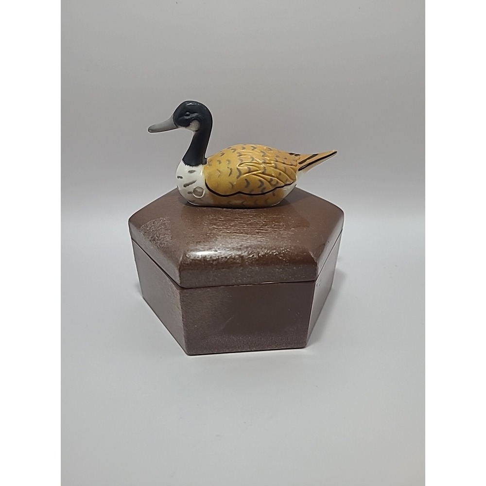 Unique Vintage Plastic Trinket Duck Container‎